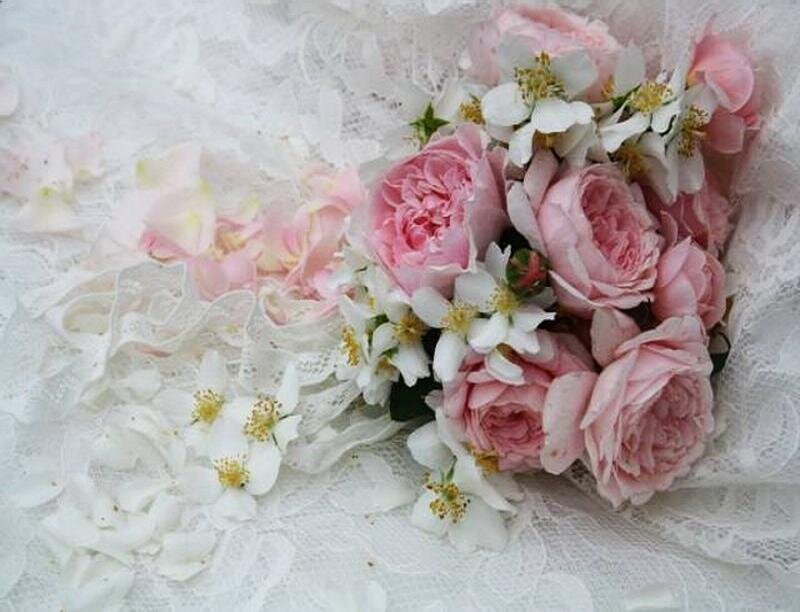 Pink Roses and White Flowers
