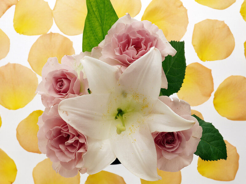 Pink roses and white lily