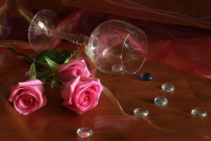 Pink Roses and Wine Glass