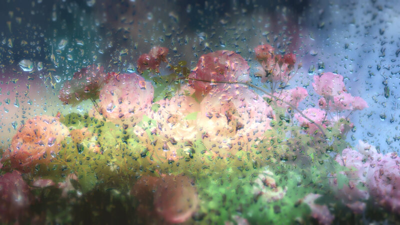 Pink Roses Behind Glass — Dreamy