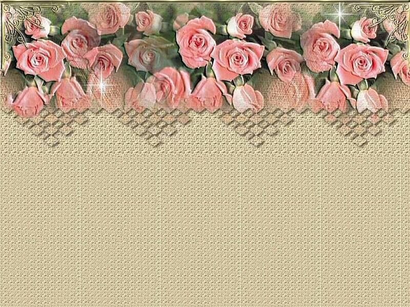 pink roses border design