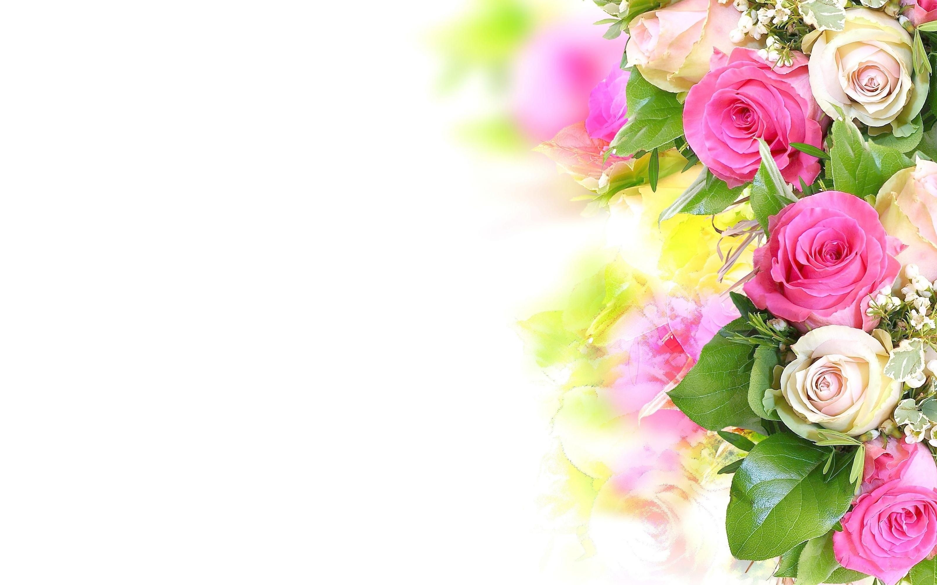 pink roses bouquet