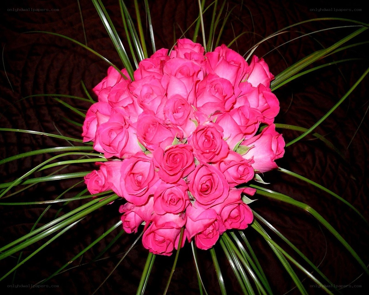 Pink roses bouquet