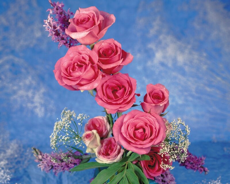 Pink roses bouquet
