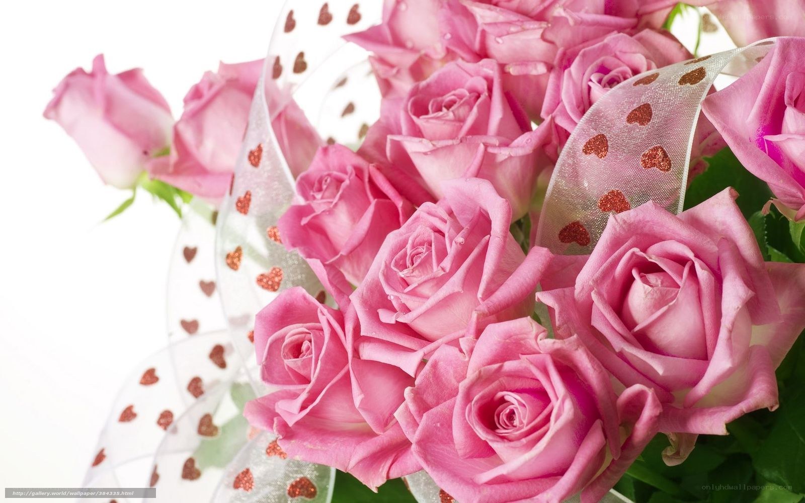 Pink roses bouquet