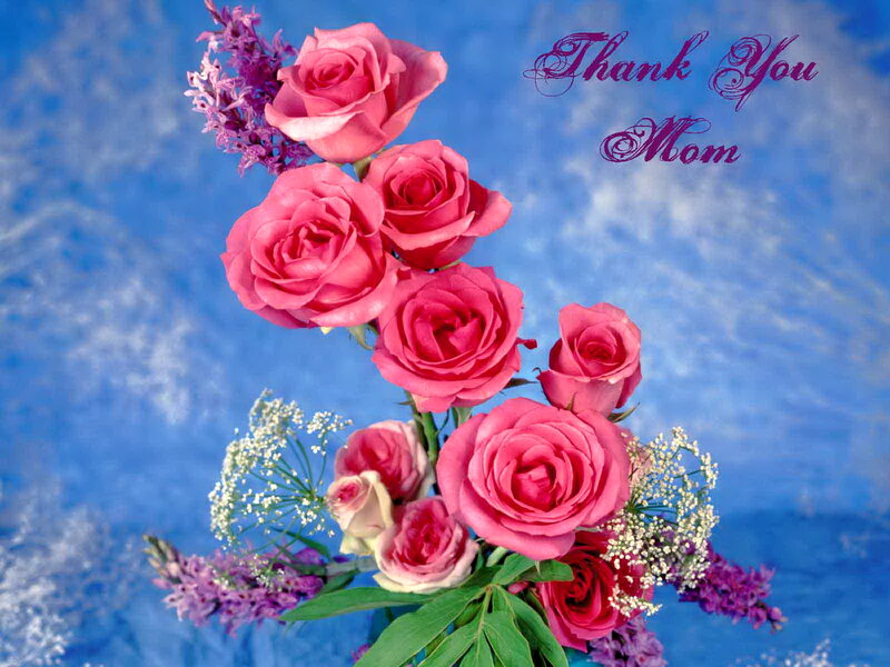 Pink Roses Bouquet — Blue, Grateful