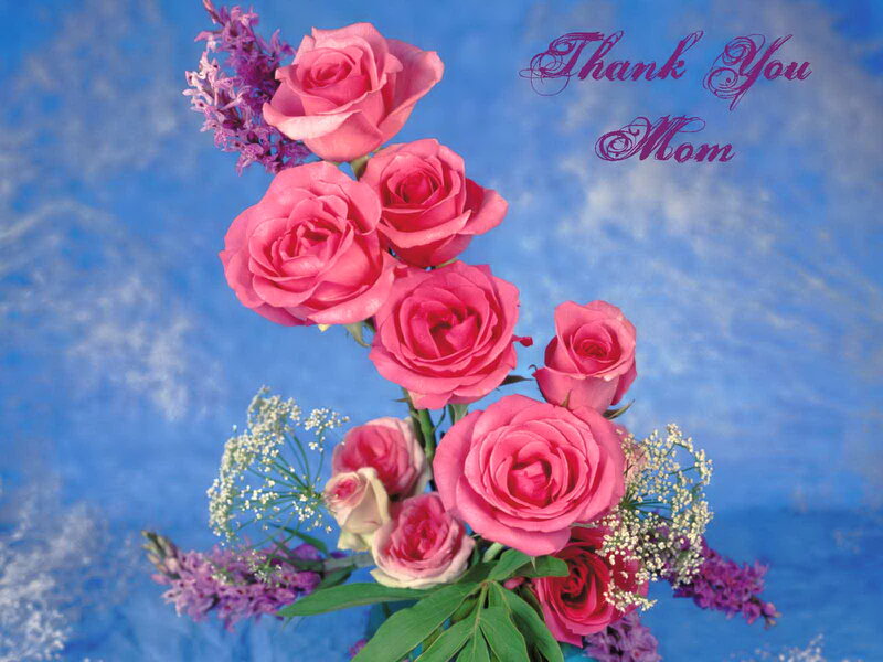 Pink Roses Bouquet — Blue
