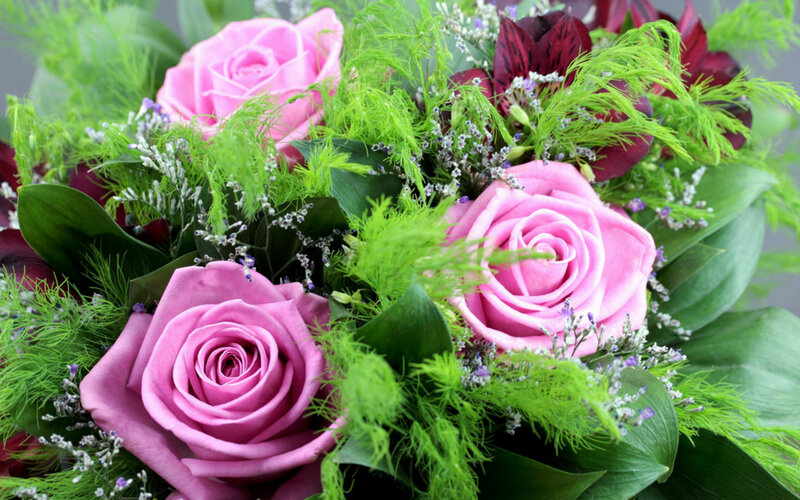 Pink Roses Bouquet — Calm, Photograph, Green Foliage