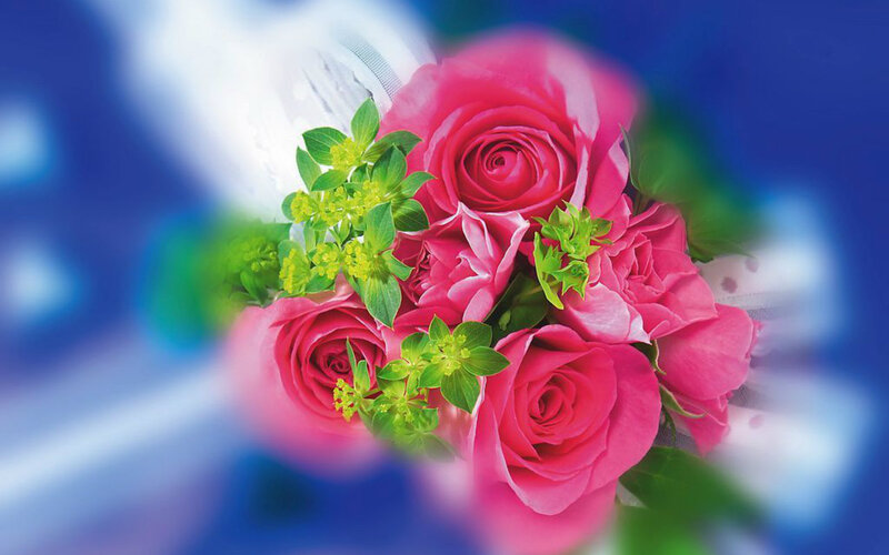 Pink Roses Bouquet — Calm, Photograph, Green Leaves