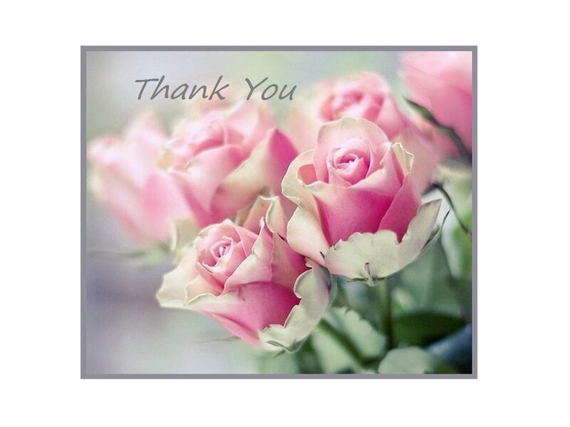 Pink Roses Bouquet — Calm, Photograph, Text