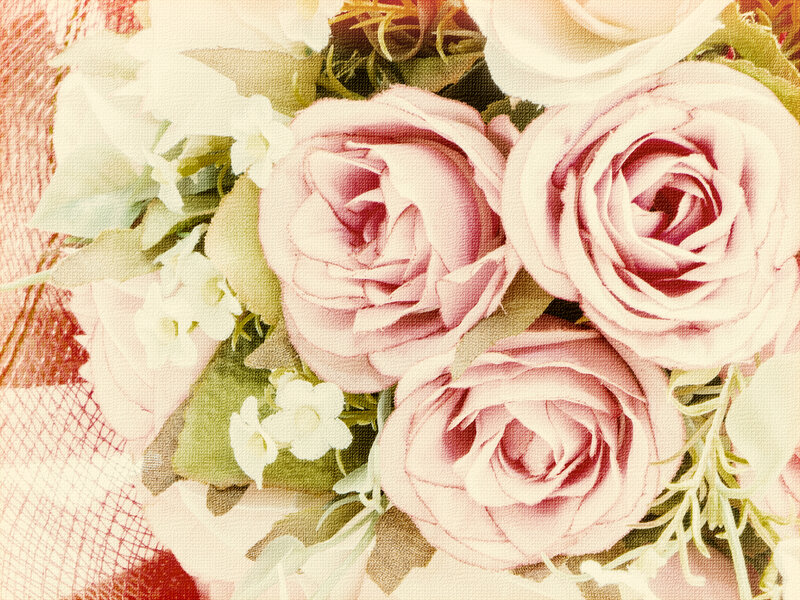 Pink Roses Bouquet — Calm, Photograph, White Flowers