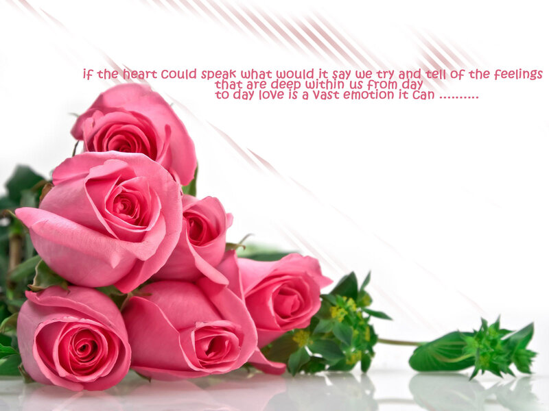 Pink Roses Bouquet — Romantic, Photograph