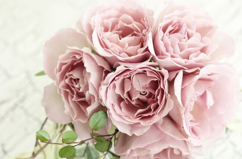 Pink Roses Bouquet — Serene, Photograph, Green Leaves