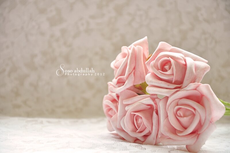 Pink Roses Bouquet — Serene, Photograph