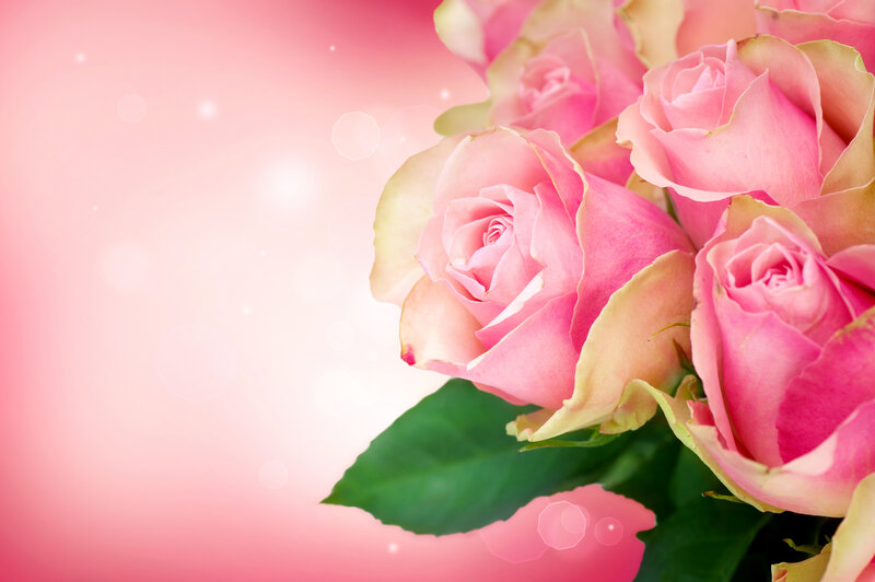 Pink Roses Bouquet — Serene