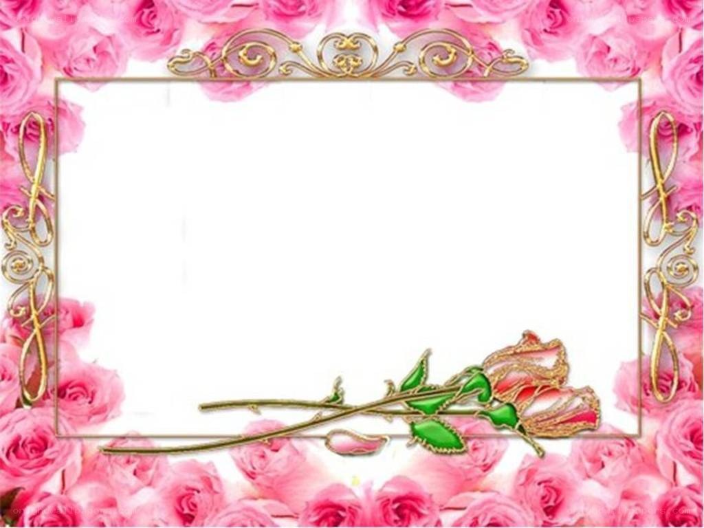 pink roses frame