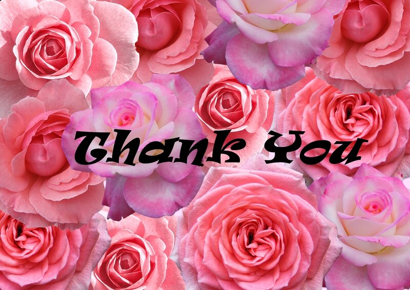 Pink Roses — Grateful