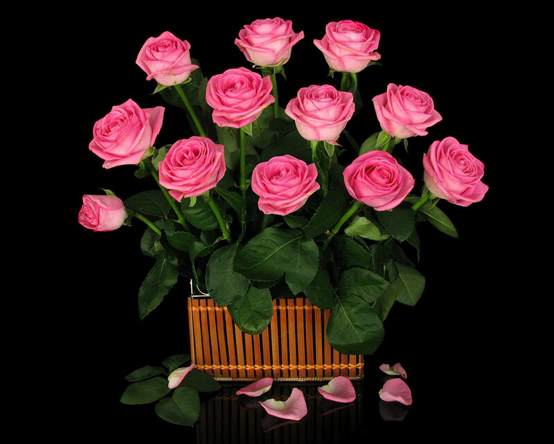 Pink roses in a basket