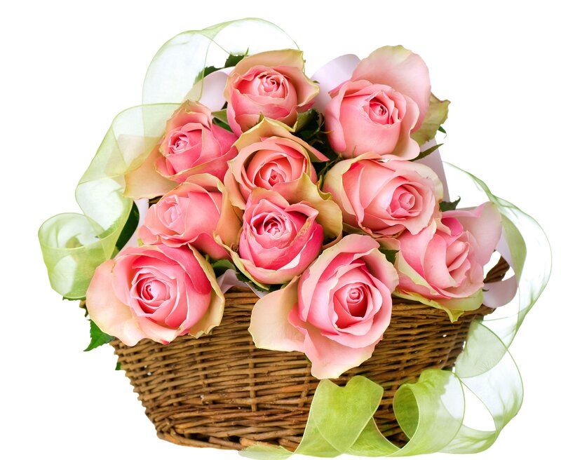 Pink roses in a basket