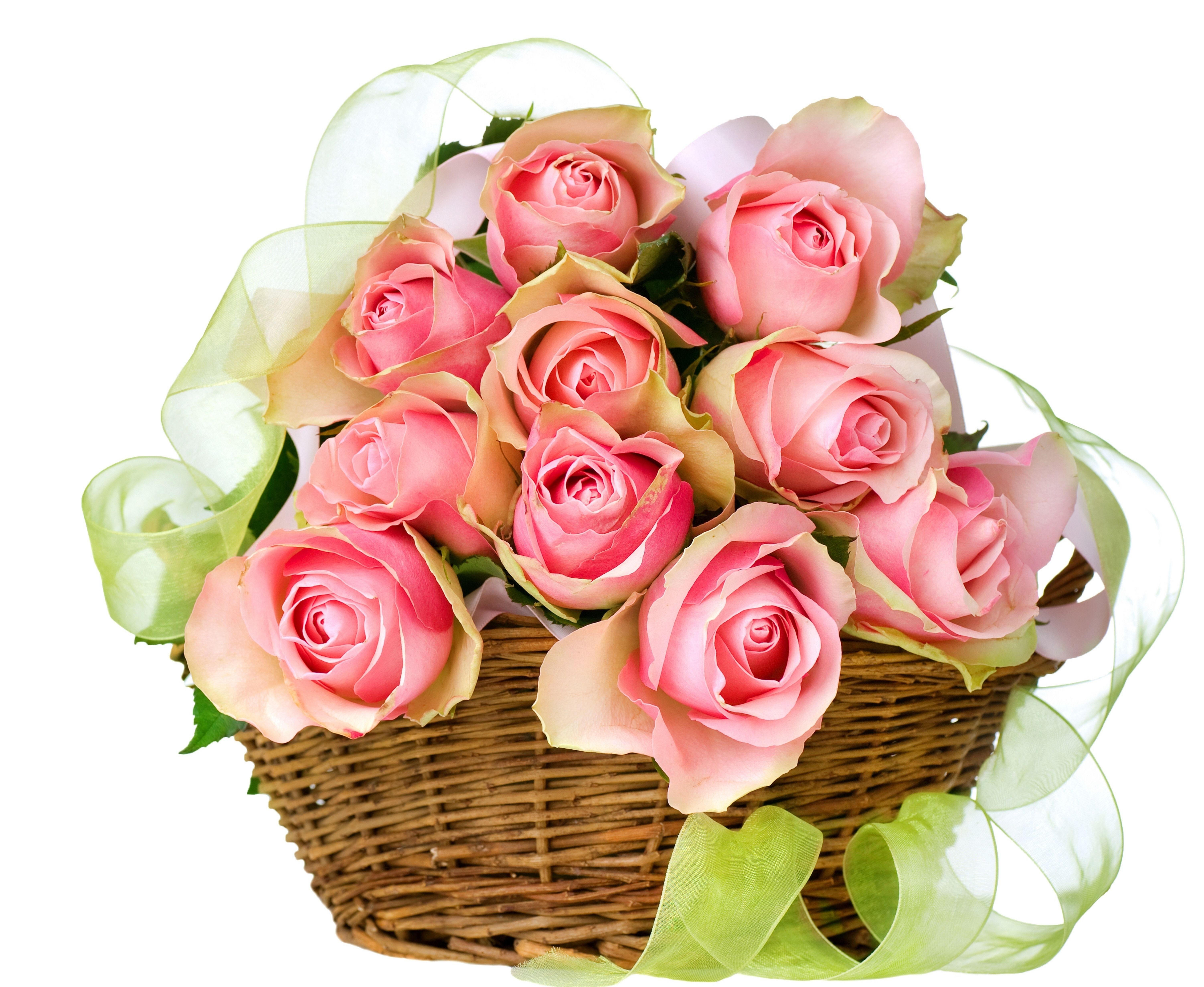 Pink roses in a basket