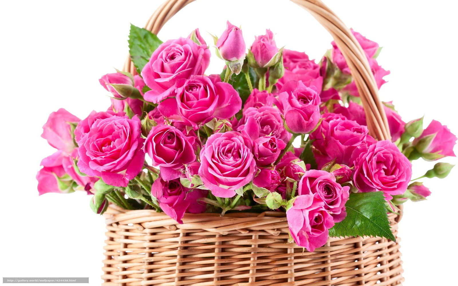 Pink roses in a basket