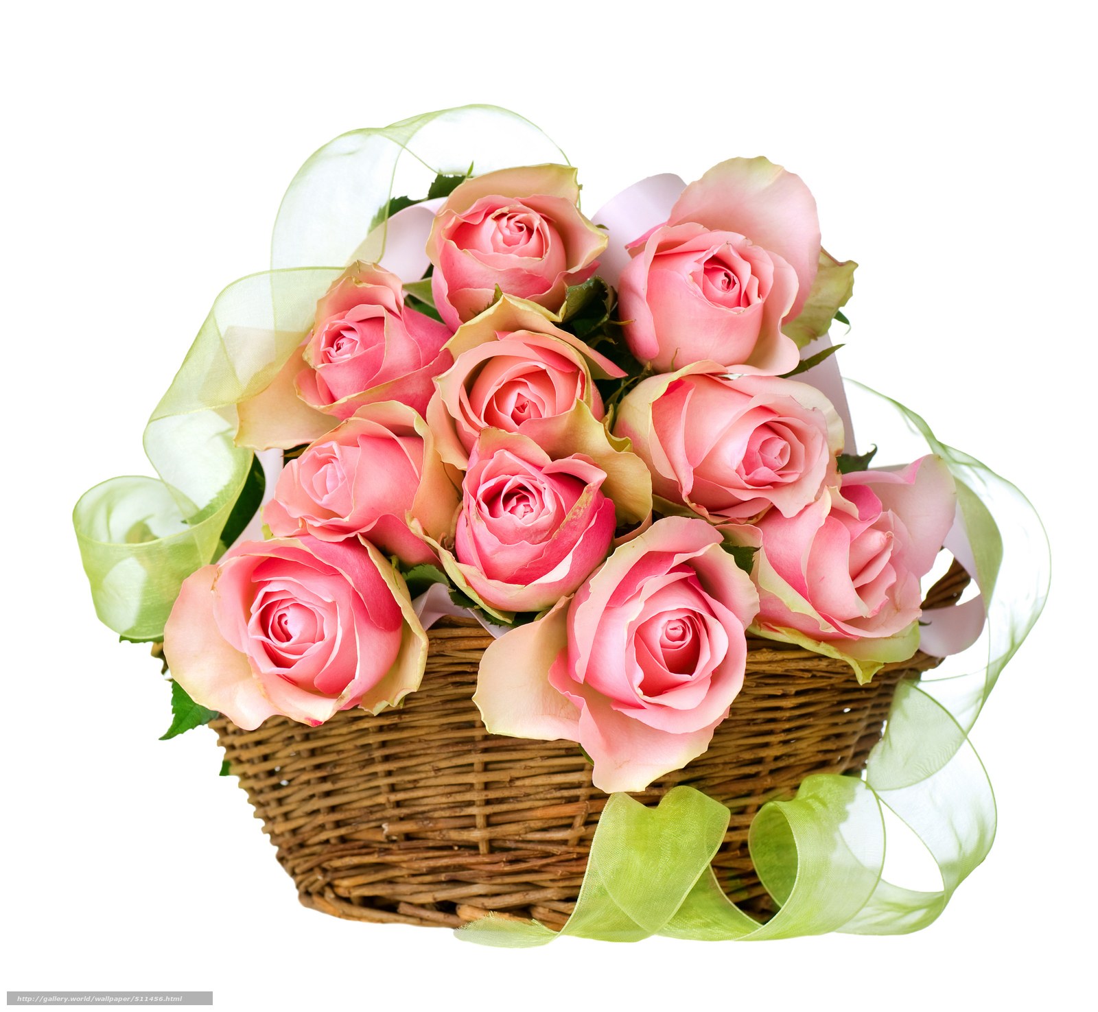 Pink roses in a basket