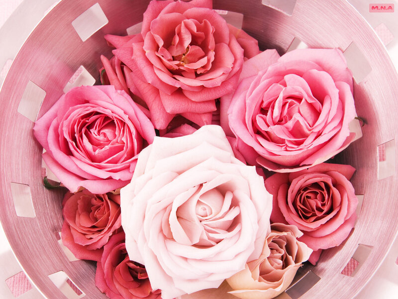 Pink Roses in a Basket — Calm