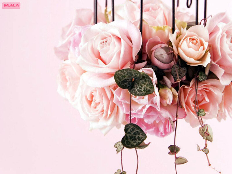 Pink Roses in a Basket — Serene, Photograph, Green Leaves