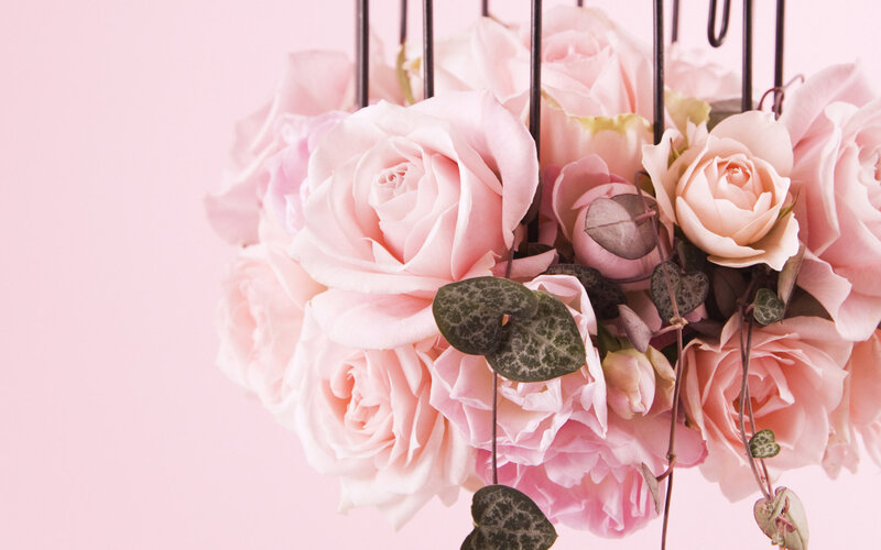 Pink Roses in a Basket — Serene, Photograph