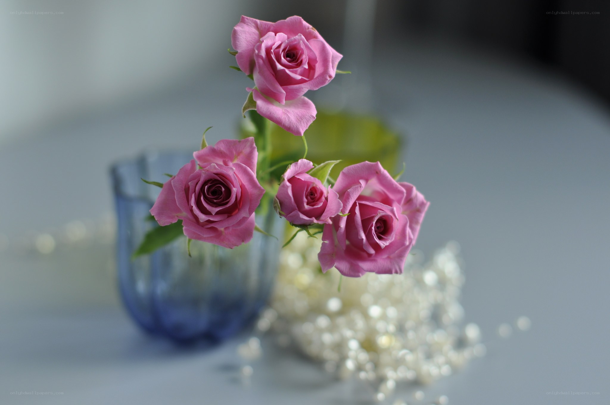 Pink roses in a blue vase