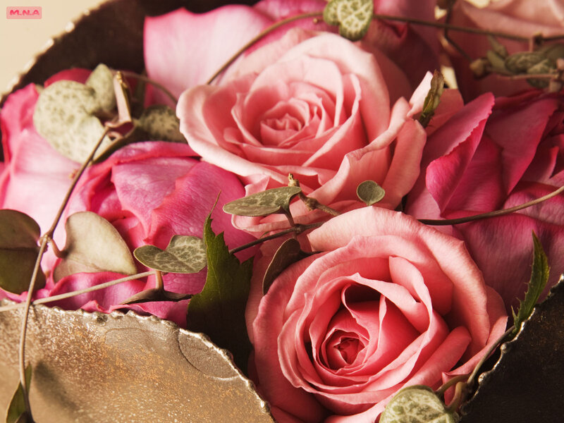 Pink roses in a bouquet