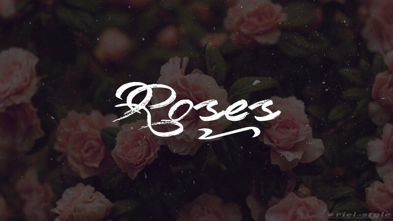 Pink Roses in a Bouquet — Romantic, Photograph, Flowers, Leaves