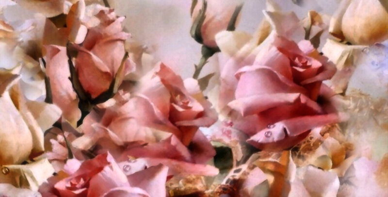 Pink Roses in a Bouquet — Soft, Painting