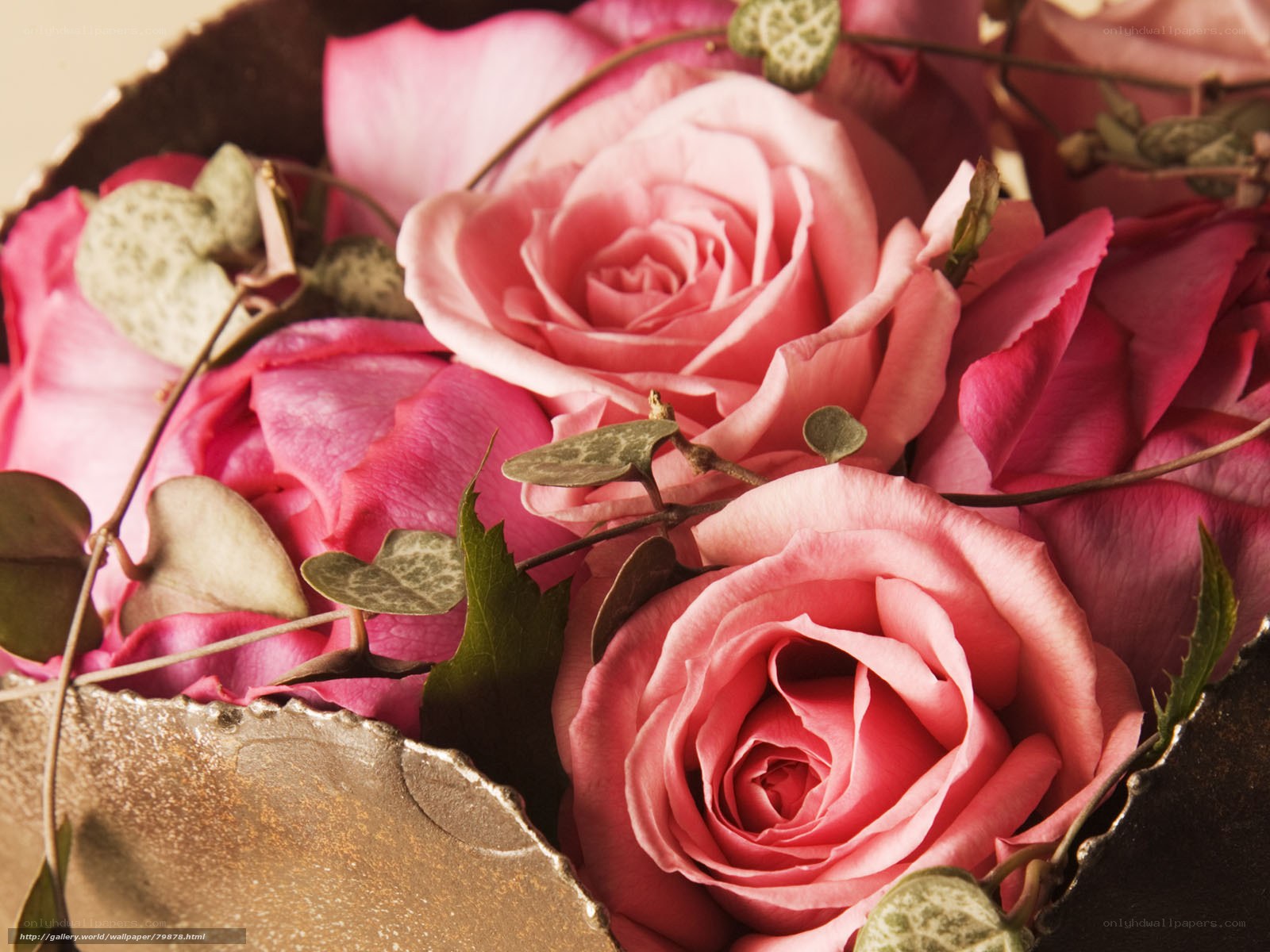 Pink roses in a bouquet