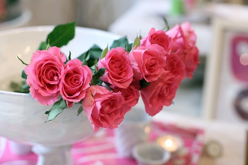 Pink Roses in a Bowl — Calm
