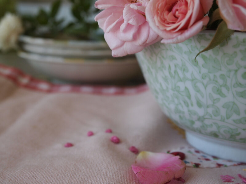 Pink Roses in a Bowl — Serene
