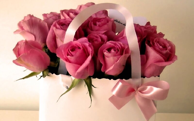 Pink Roses in a Box — Calm, Photograph