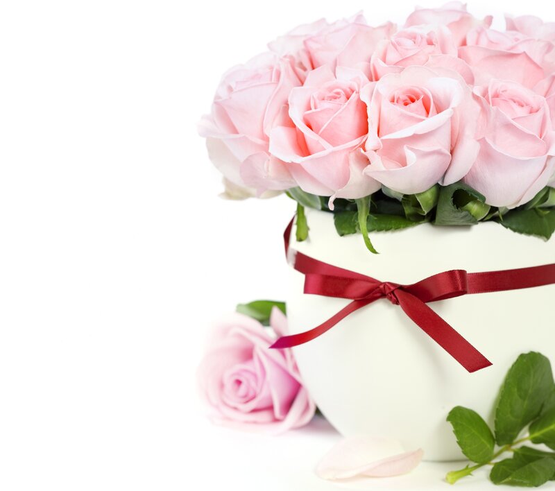Pink Roses in a Box — Serene, Photograph