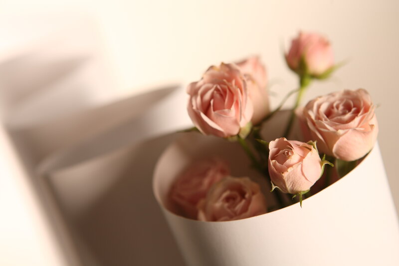 Pink Roses in a Box — Serene
