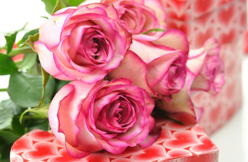 Pink Roses in a Box