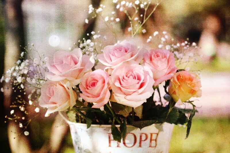 Pink Roses in a Bucket