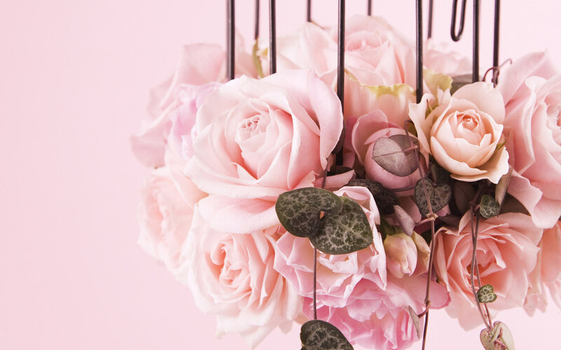 Pink Roses in a Cage