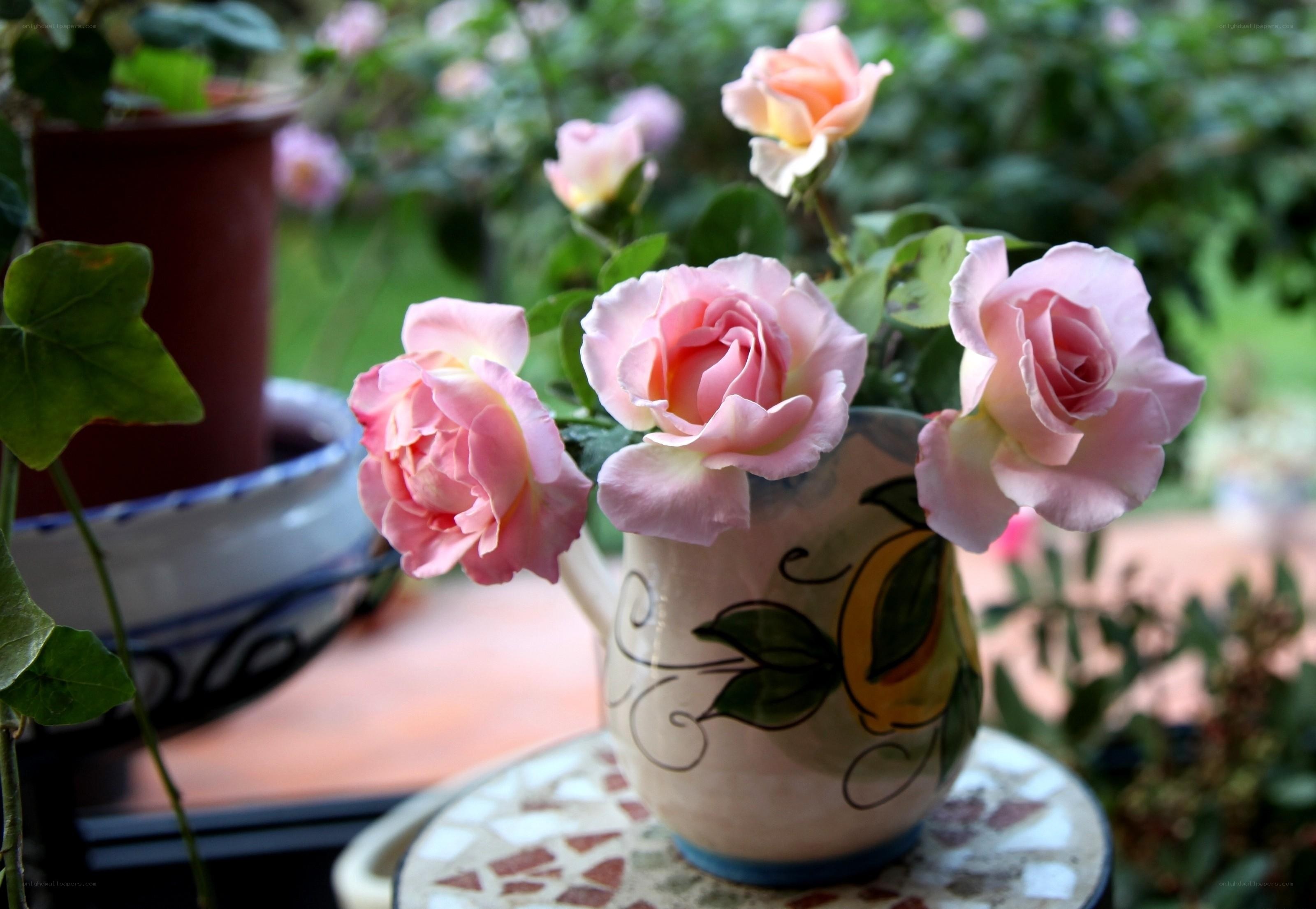 Pink roses in a ceramic pitcher