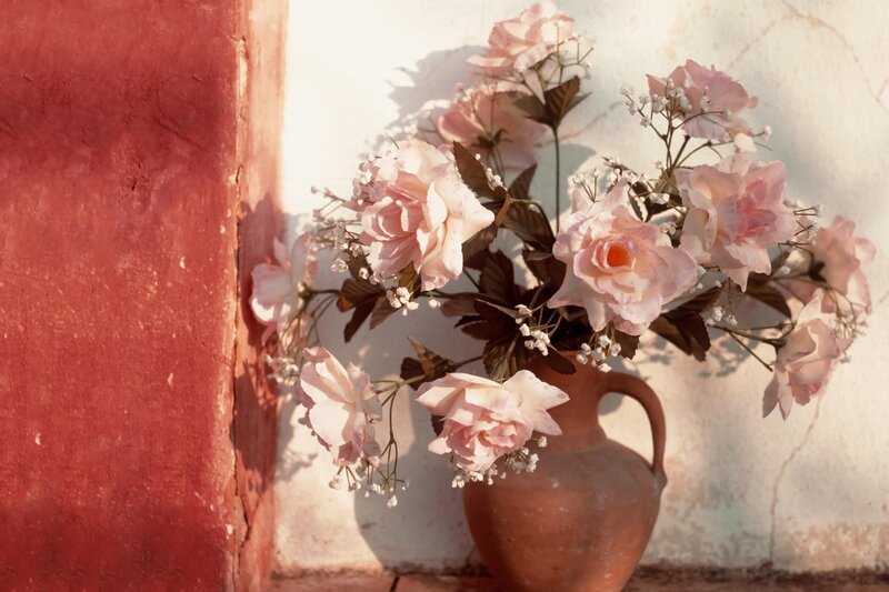 Pink roses in a clay vase