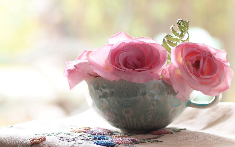 Pink Roses in a Cup — Serene