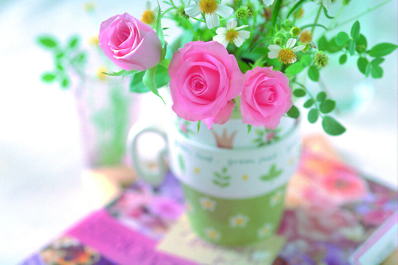 Pink Roses in a Cup