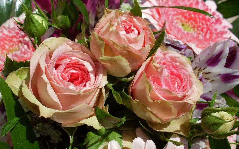 Pink roses in a floral arrangement