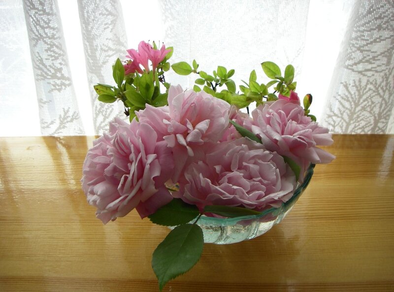 Pink roses in a glass bowl