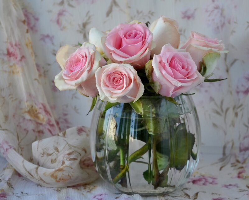 Pink roses in a glass vase