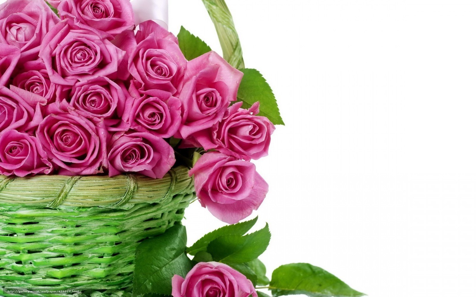Pink roses in a green basket